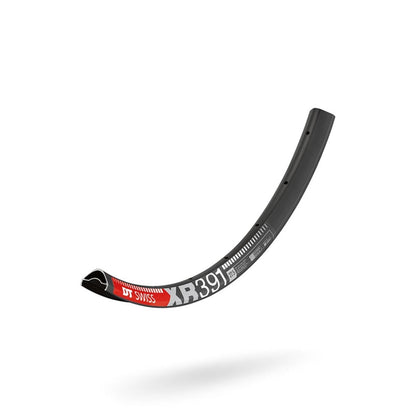 Cerchio DT SWISS XR 391 29'' 25 mm