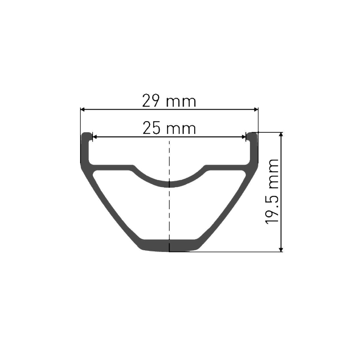 Ruota Anteriore DT SWISS X 1900 SPLINE 25 mm 29" 15x100 mm