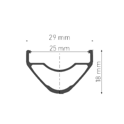 Ruota Posteriore DT SWISS XR 1700 SPLINE 25 mm 29" 12x148 mm Boost