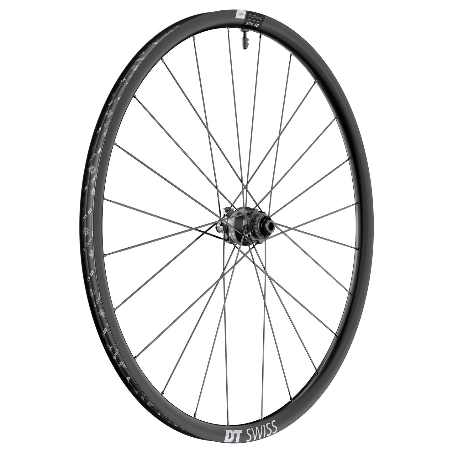 DT SWISS GR 1600 SPLINE 25 DISC Ruote anteriori Tubeless Ready (Center Locl) Dynamo