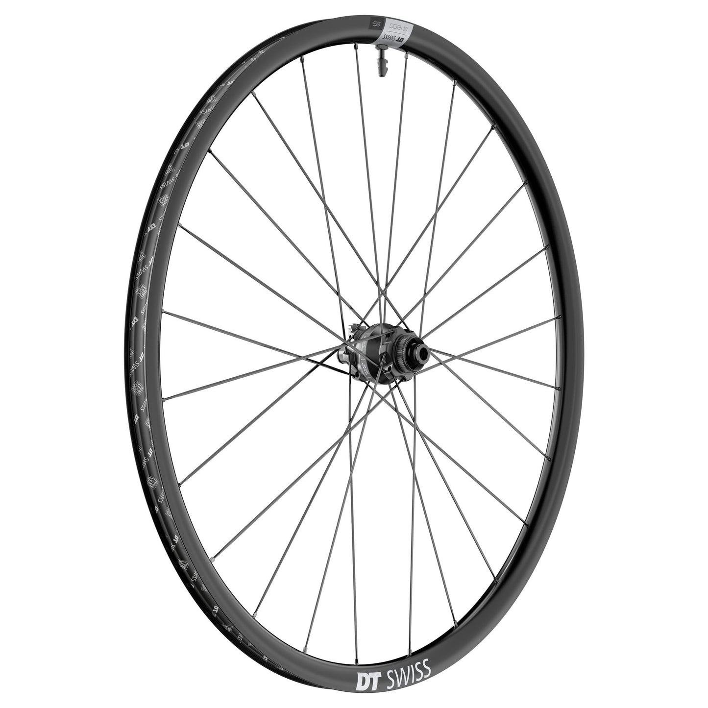 DT SWISS G 1800 SPLINE 25 DISC ruota anteriore Tubeless Ready (centro) Dynamo