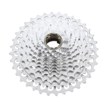 Pignone 13V CAMPAGNOLO EKAR