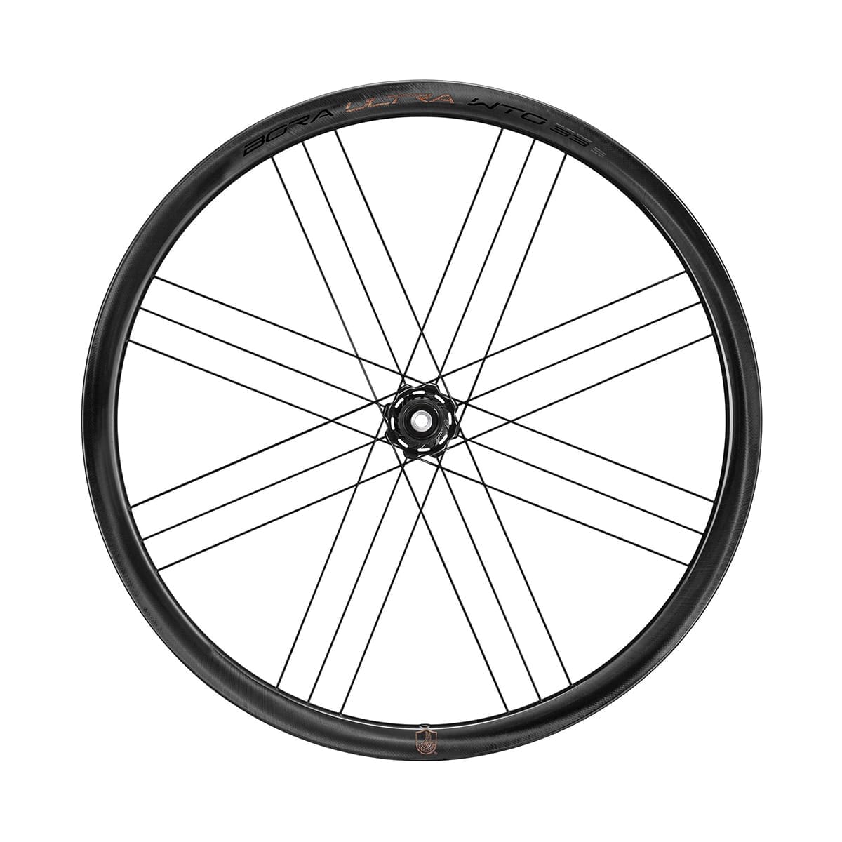 Ruota anteriore Pneumatici CAMPAGNOLO BORA ULTRA WTO 33 DISC (Center Lock)