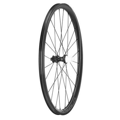 Coppia di Ruote CAMPAGNOLO LEVANTE 2-WAY FIT DISC 700c