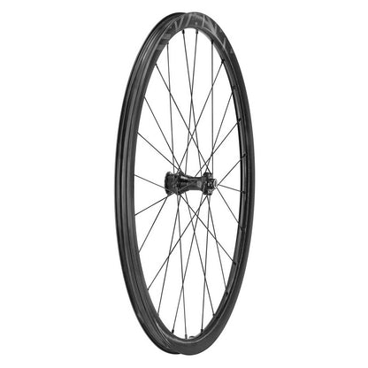 Coppia di Ruote CAMPAGNOLO LEVANTE 2-WAY FIT DISC 700c