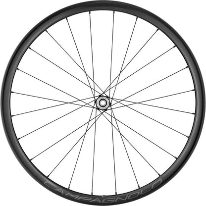 Coppia di Ruote CAMPAGNOLO LEVANTE 2-WAY FIT DISC 700c