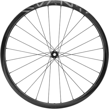 Coppia di Ruote CAMPAGNOLO LEVANTE 2-WAY FIT DISC 700c