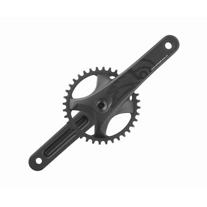 Guarnitura 13V CAMPAGNOLO EKAR GT