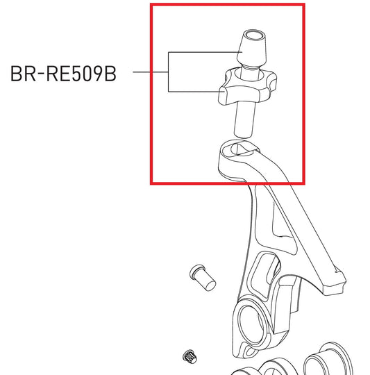 Vite di regolazione della tensione del cavo per deragliatore posteriore CAMPAGNOLO SR/Record 12V