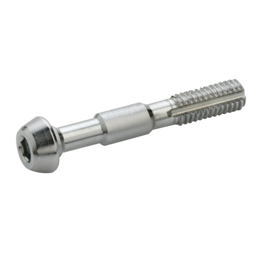 Set di 2 viti ELVEDES M6 per Shimano Banjo