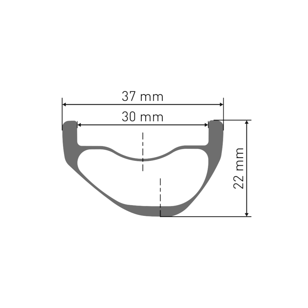 Ruota Anteriore DT SWISS EXC 1200 CLASSIC 30 mm 29" 15x110 mm Boost