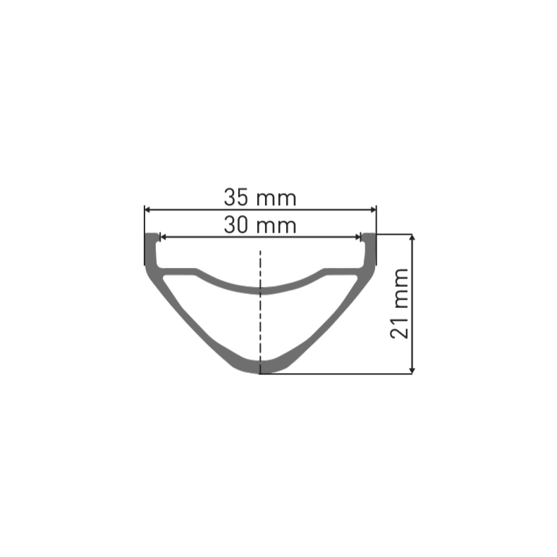 Cerchio DT SWISS FR 541 29'' 30 mm