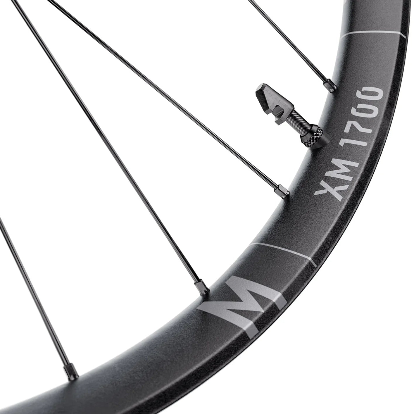 DT SWISS XM 1700 SPLINE 30 mm 29" 15x110 mm Boost 2026 Ruota anteriore