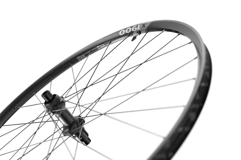 DT SWISS X 1900 SPLINE Ruota posteriore 25 mm 29" 12x148 mm