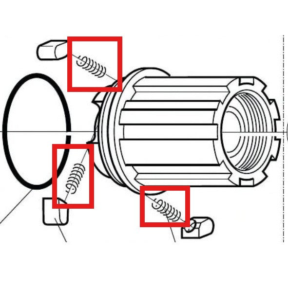 MOLLA PER NOTTOLINO CAMPAGNOLO (SCATOLA DA 6)