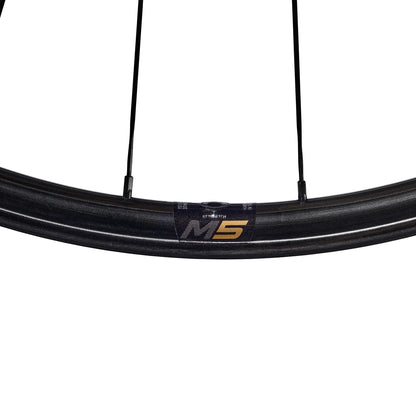 Cerchio Posteriore ENVE M5 PRO 29" 29mm
