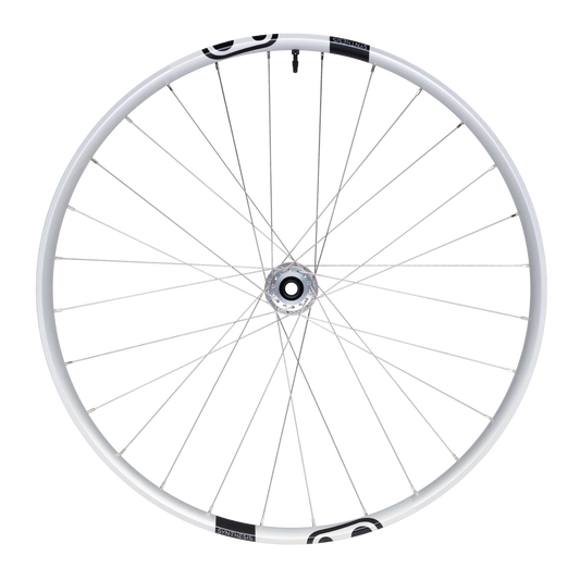 Ruota anteriore CRANKBROTHERS SYNTHESIS Alluminio 2.0 Enduro I9 29" 15x110 mm Boost Argento