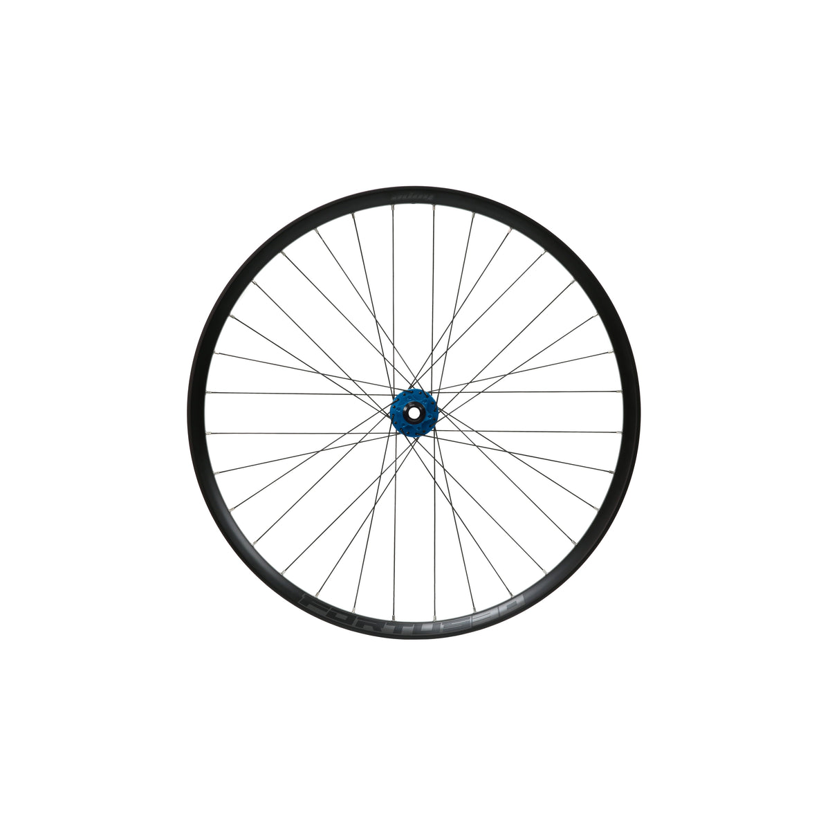 Ruota anteriore HOPE Fortus 30 W da 26 pollici, mozzo Pro 5 blu