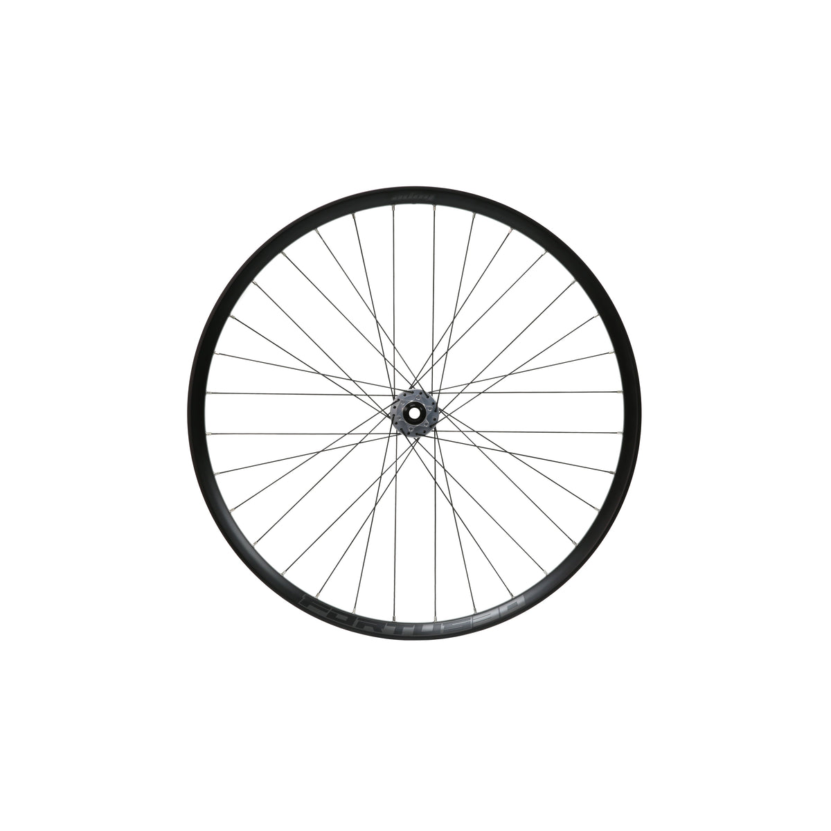 Ruota anteriore HOPE Fortus 30 W da 29 pollici, mozzo Pro 5 argento