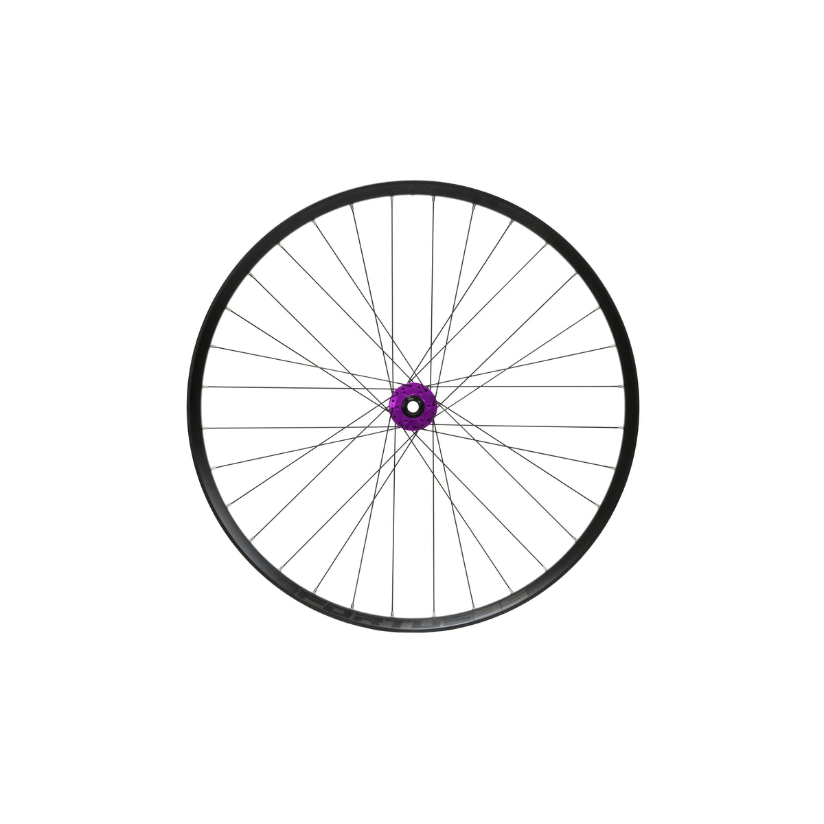 Ruota anteriore HOPE Fortus 35 W da 29 pollici, mozzo Pro 5 viola