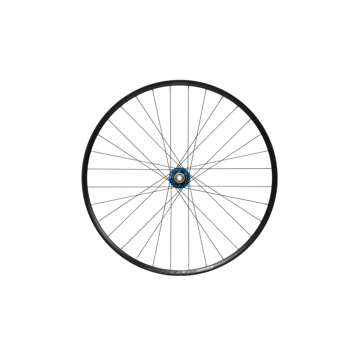 Ruota posteriore HOPE Fortus 23 W da 29 pollici, mozzo Pro 5 blu