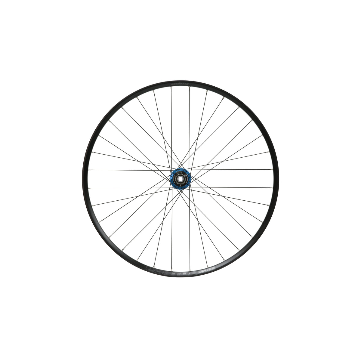 Ruota posteriore HOPE Fortus 23 W da 29 pollici, mozzo Pro 5 blu
