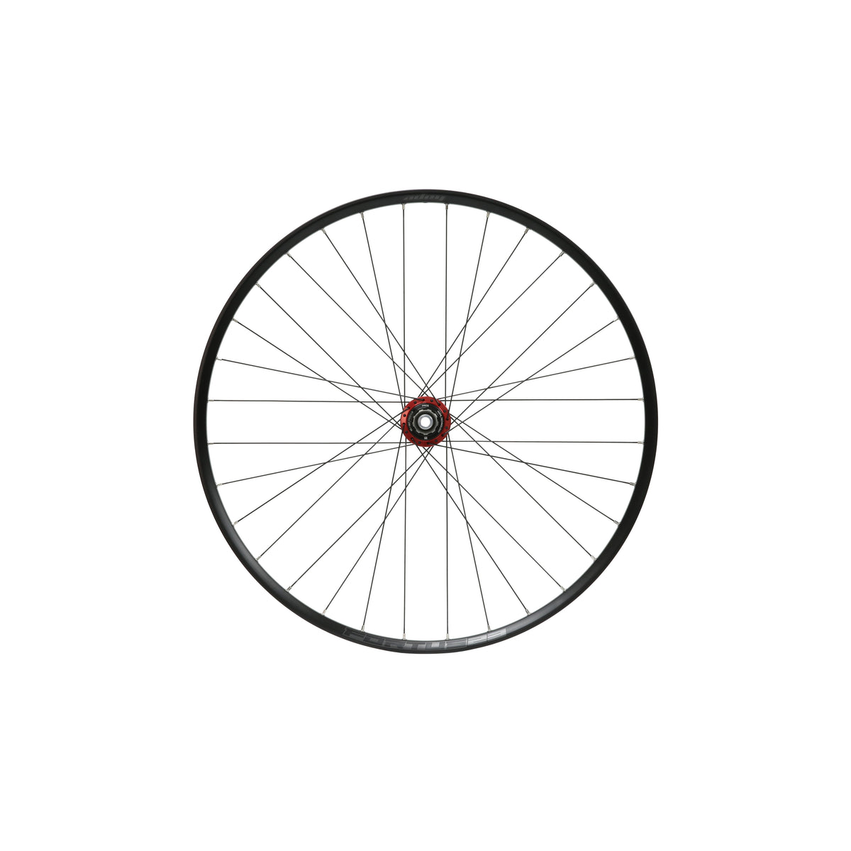 Ruota posteriore HOPE Fortus 23 W da 29 pollici, mozzo Pro 5 rosso