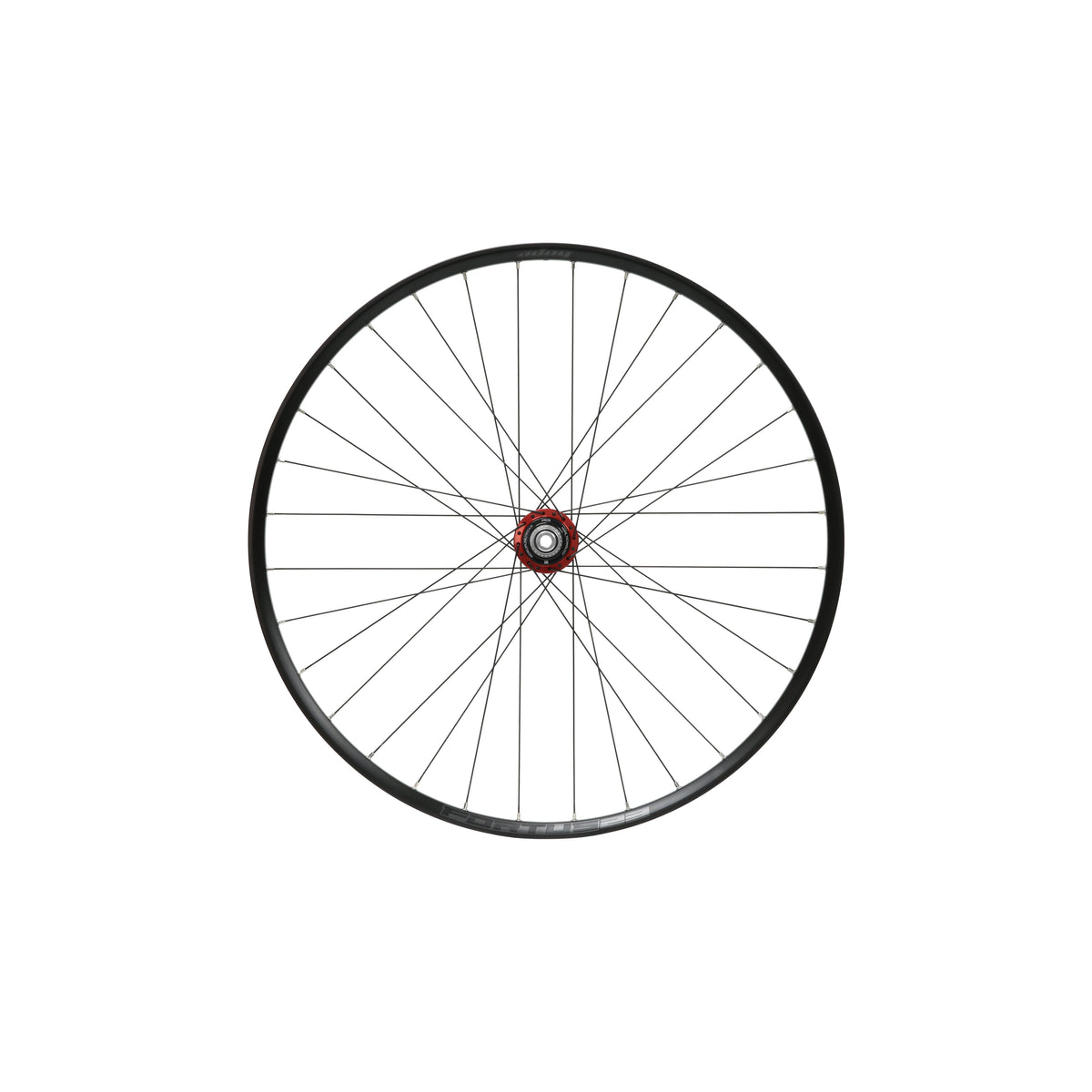 Ruota posteriore HOPE Fortus 23 W da 29 pollici, mozzo Pro 5 rosso