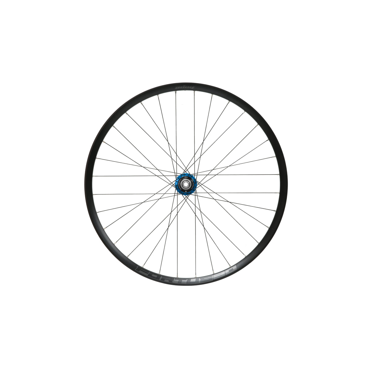 Ruota posteriore HOPE Fortus 30 W da 29 pollici, mozzo Pro 5 blu