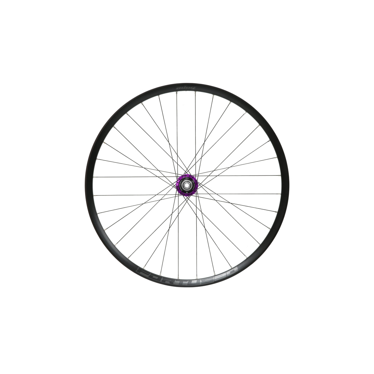 Ruota posteriore HOPE Fortus 30 W da 29 pollici, mozzo Pro 5 viola