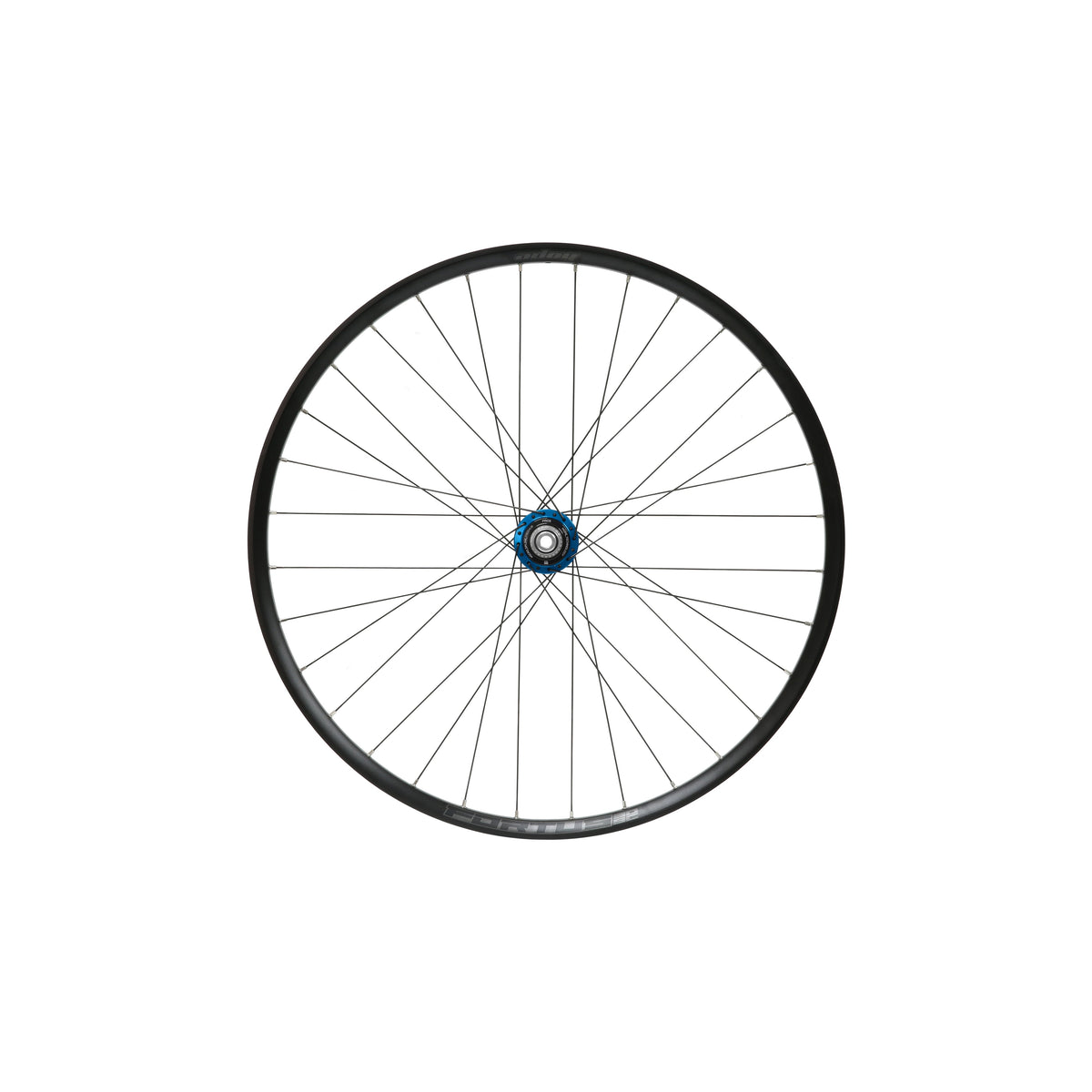 Ruota posteriore HOPE Fortus 30 W SC da 29 pollici, mozzo Pro 5 blu