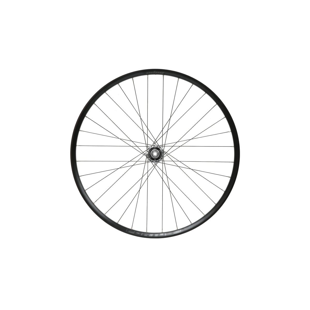 Ruota posteriore HOPE Fortus 30 W SC da 29 pollici, mozzo Pro 5 argento