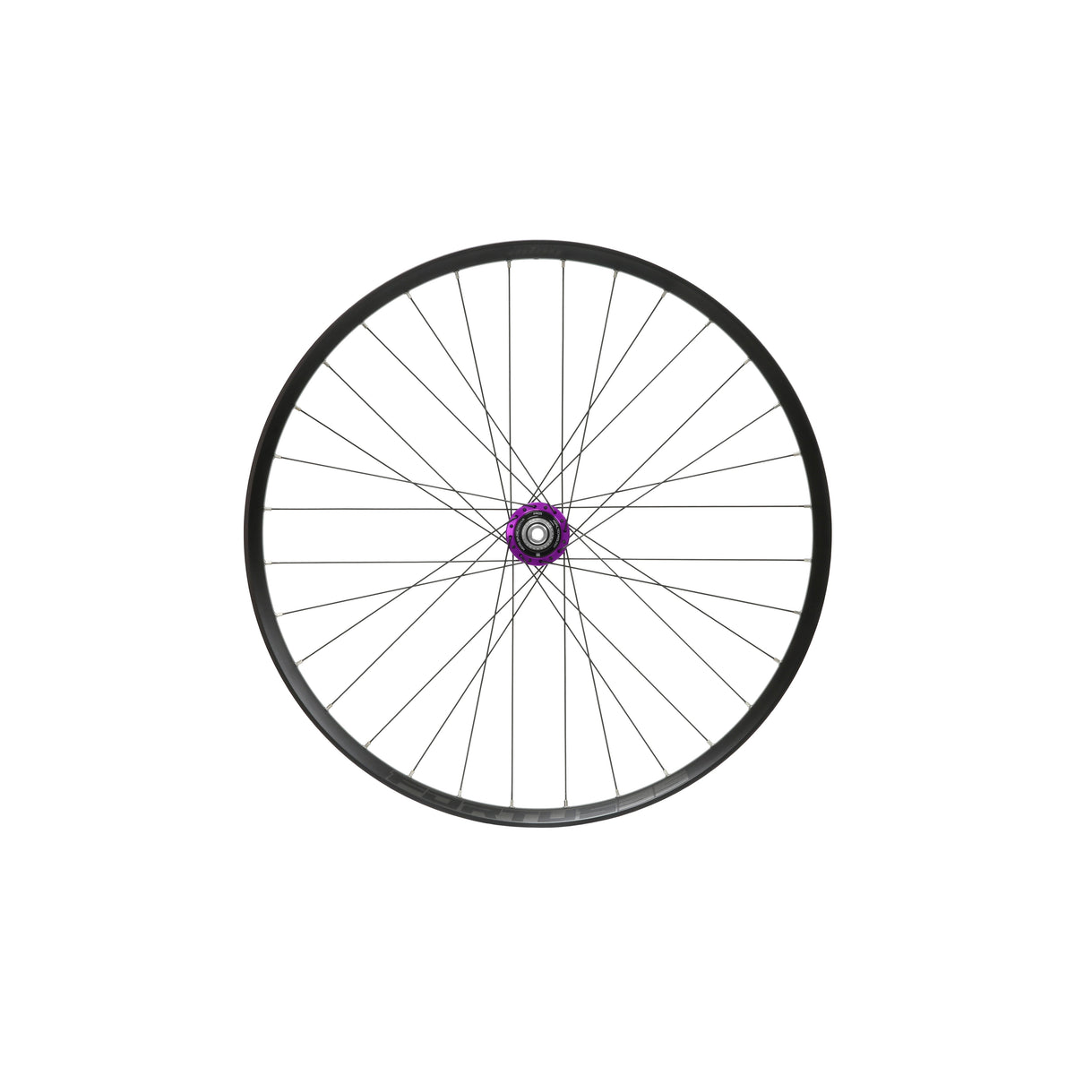 Ruota posteriore HOPE Fortus 35 W da 29 pollici, mozzo Pro 5 viola