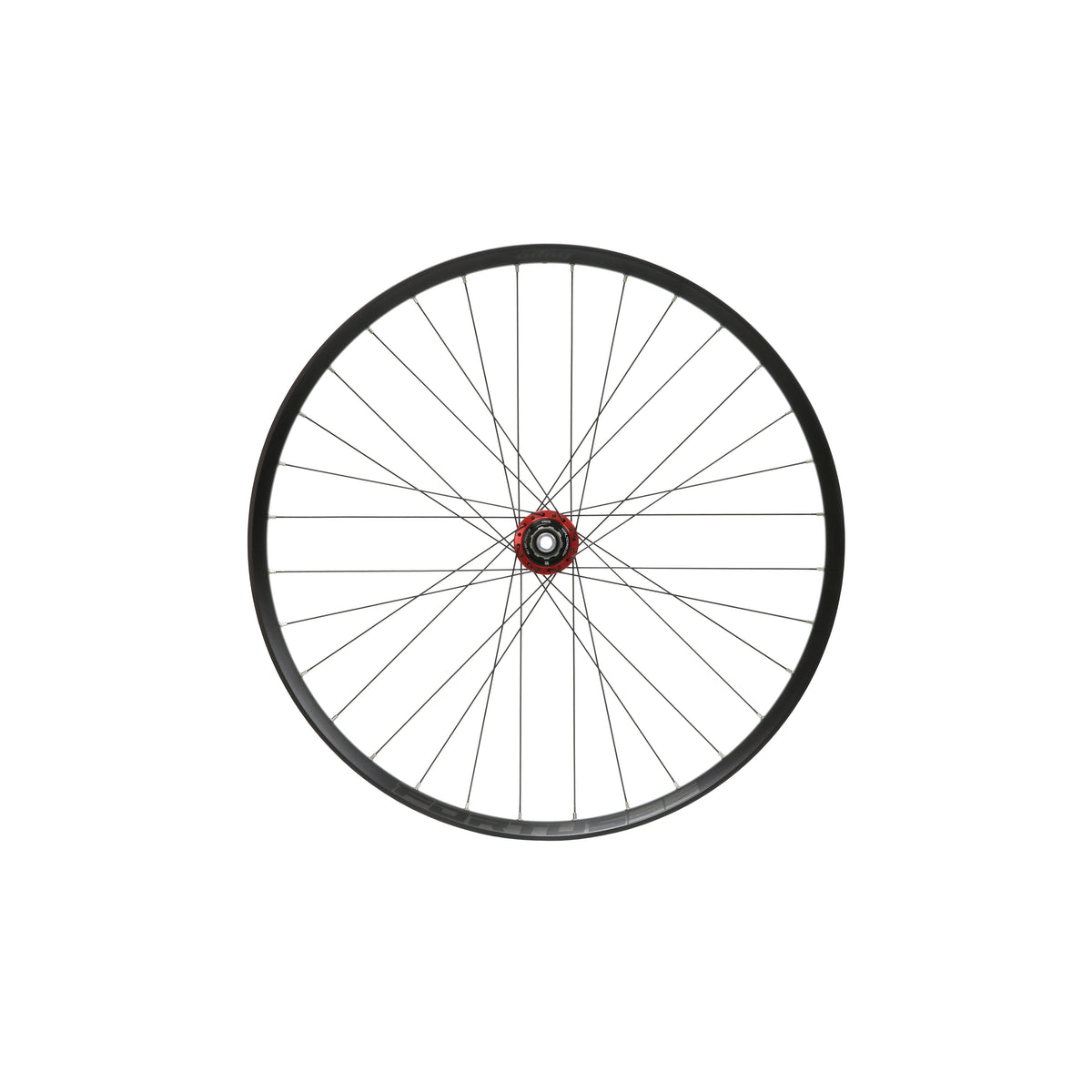 Ruota posteriore HOPE Fortus 35 W da 29 pollici, mozzo Pro 5 rosso