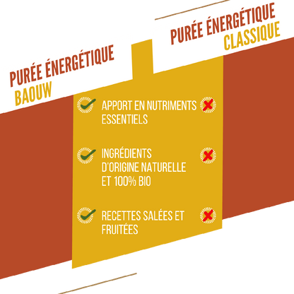 Purè Energetico BAOUW Bio Ricetta Mango/Passion/Zenzero (90g)