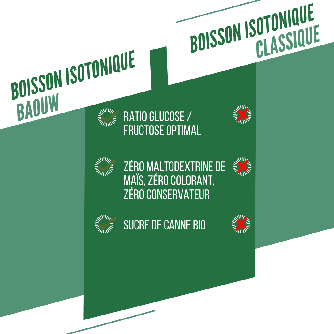 BAOUW ISOTONIC Bevanda energetica (45g) Menta/Melissa