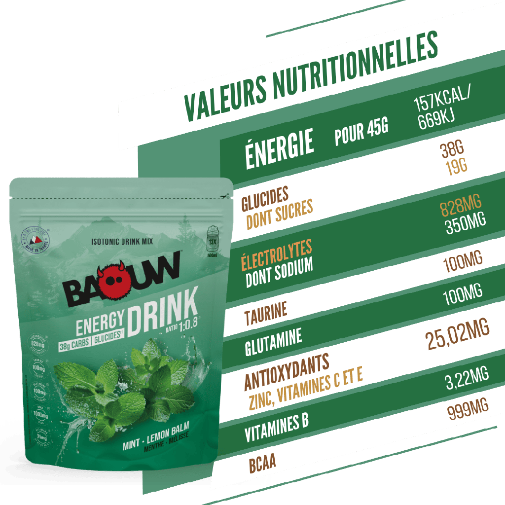 BAOUW ISOTONIC Bevanda energetica (585g) Menta/Melissa