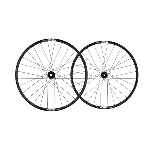 Coppia di ruote MAVIC DEEMAX DH MULLET 20x110mm - 12x157mm