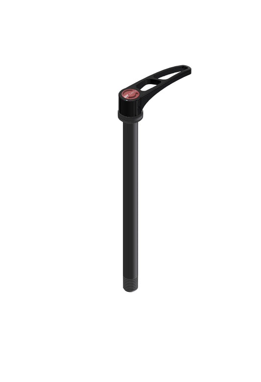 DT SWISS RWS Asse ruota posteriore plug-in 12x142 mm