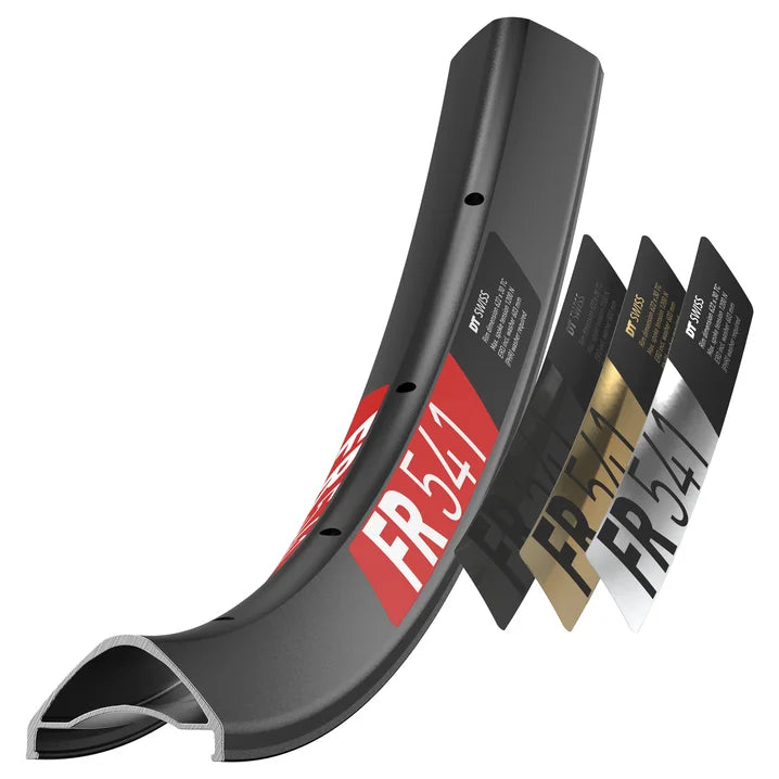 Cerchio DT SWISS FR 541 29'' 30 mm