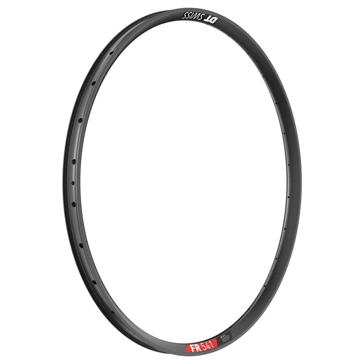 Cerchio DT SWISS FR 541 29'' 30 mm