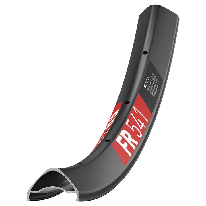 Cerchio DT SWISS FR 541 29'' 30 mm