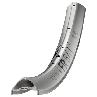 Cerchio DT SWISS FR 541 29'' 30 mm Argento