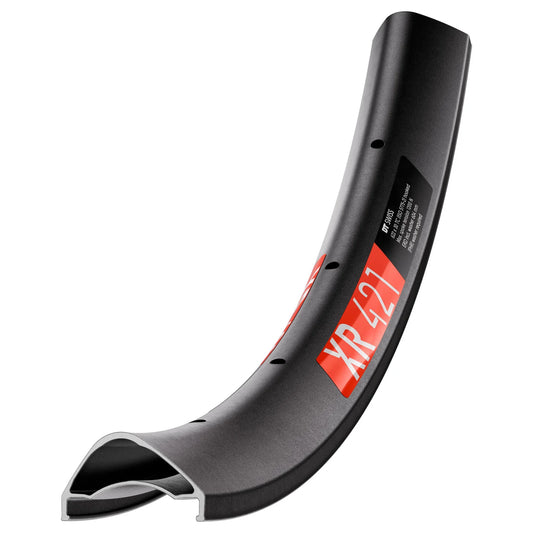 Cerchio DT SWISS XR 421 29" 30 mm