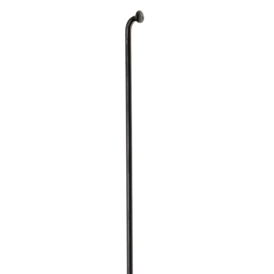 Raggio DT SWISS Champion 2.0 (x100)