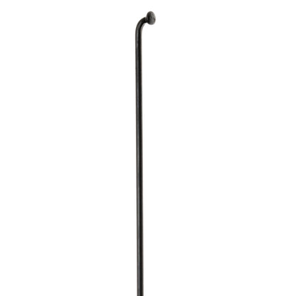 Raggio DT SWISS Champion 2.0 (x100)