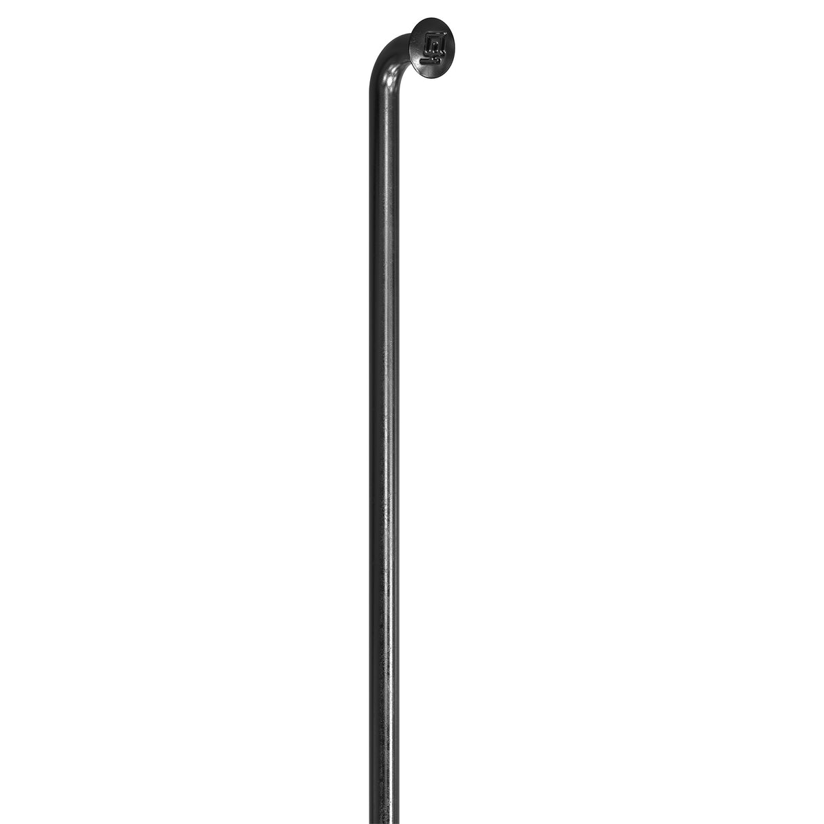 Raggio DT Swiss Champion 2.0 J-bend nero