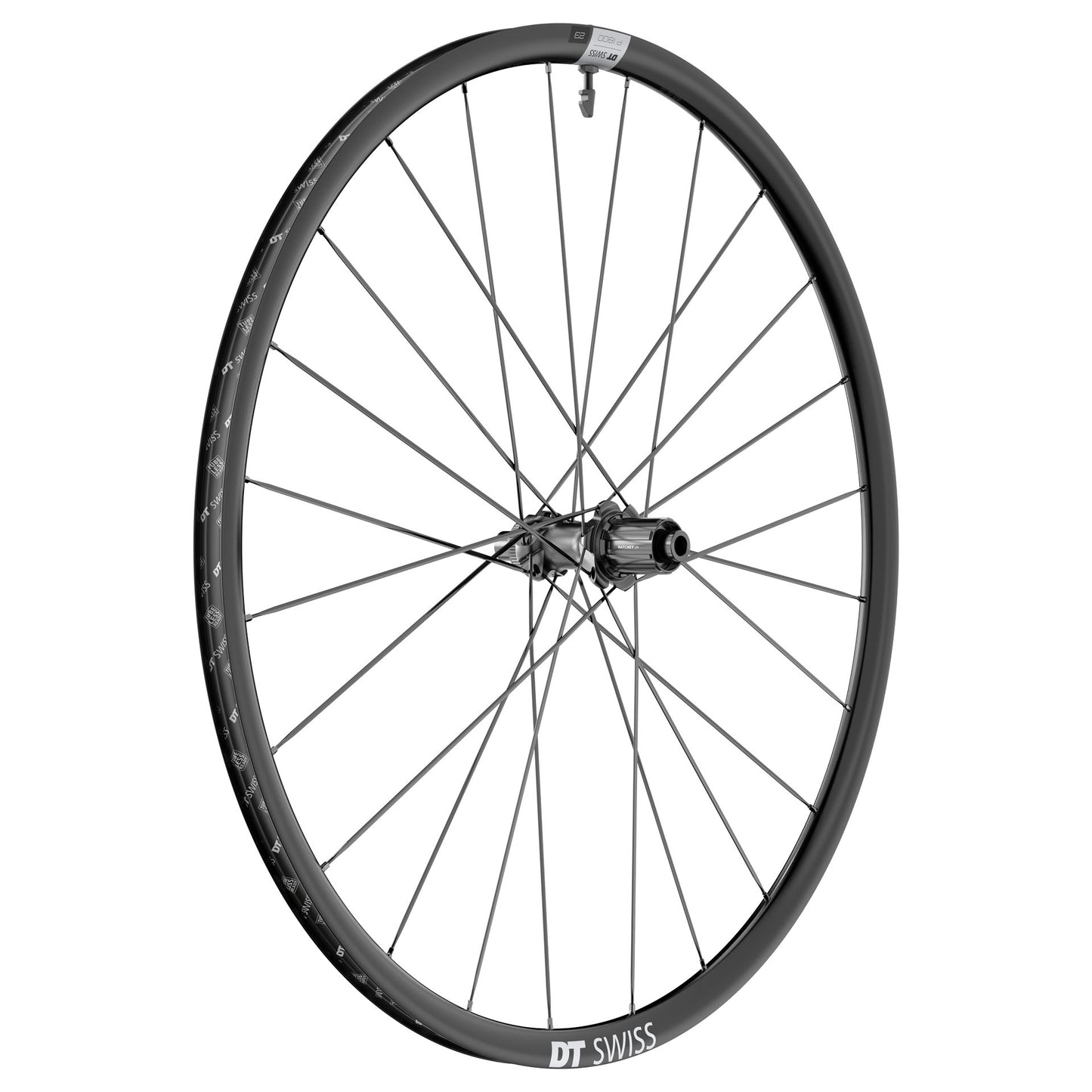 Ruota posteriore DT SWISS P 1800 SPLINE 23 DIC Tubeless Ready (Center Lock)