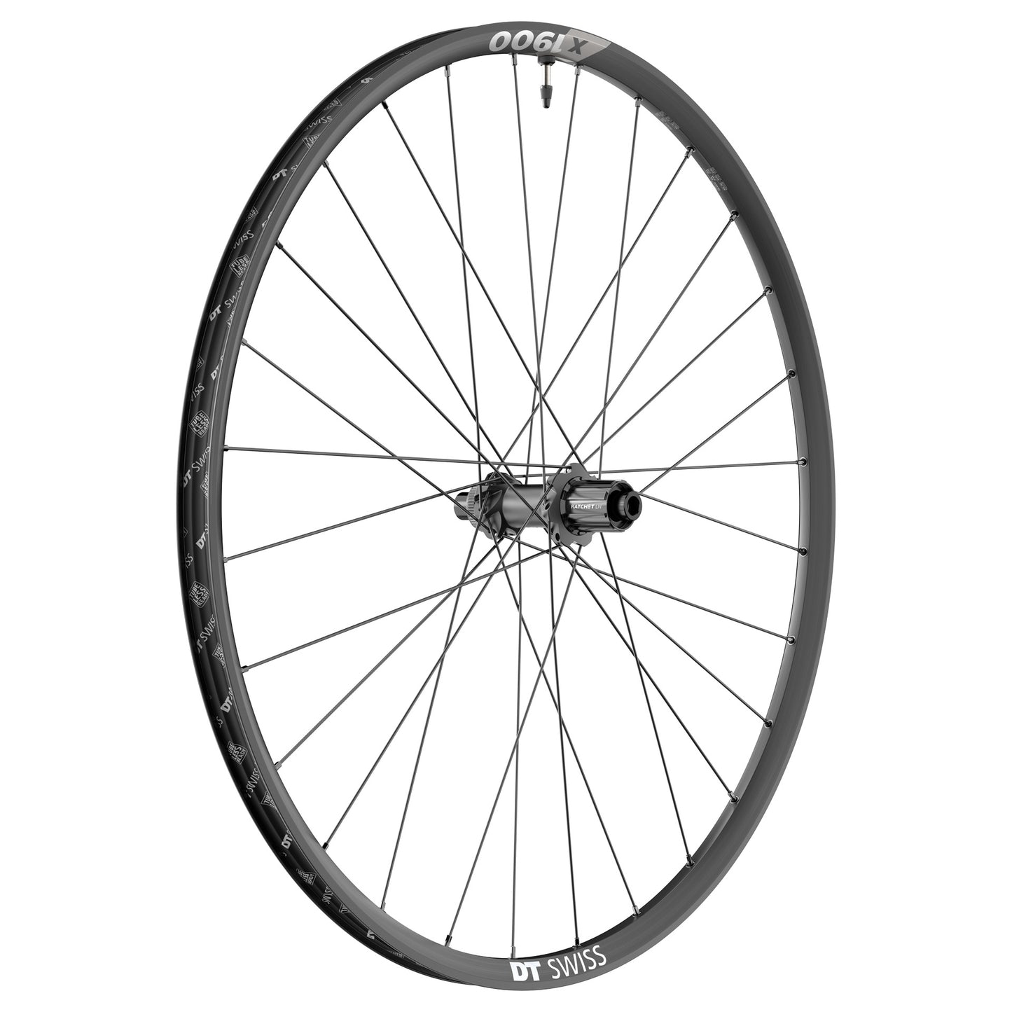 DT SWISS X 1900 SPLINE Ruota posteriore 25 mm 29" 12x148 mm