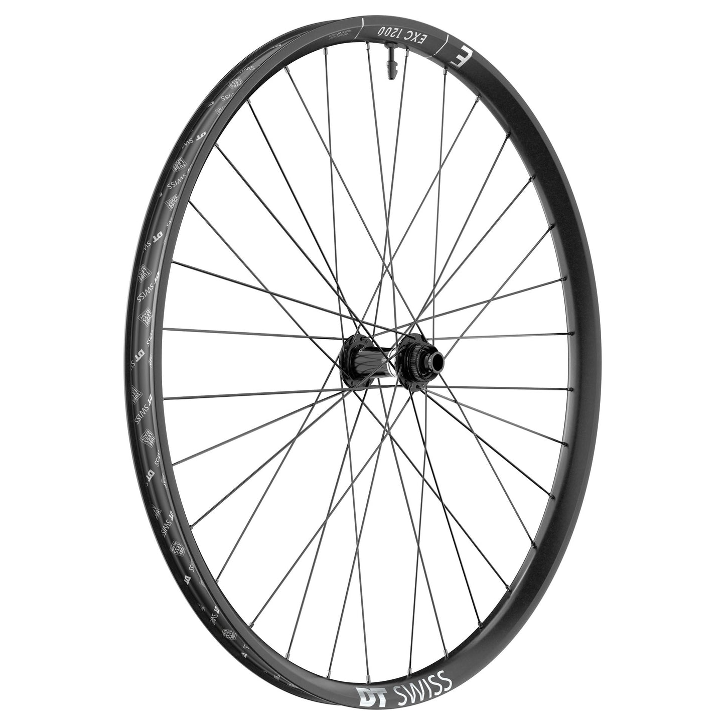 Ruota Anteriore DT SWISS EXC 1200 CLASSIC 30 mm 29" 15x110 mm Boost